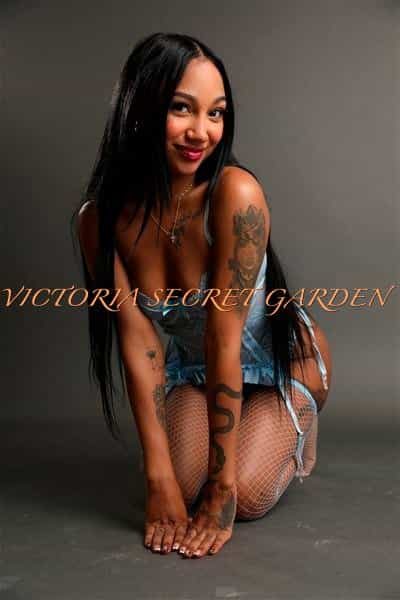 Elisa profile picture